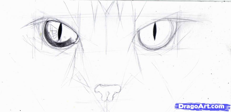 how-to-draw-cat-eyes-step-4_1_000000146535_5.jpg