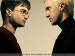 HP I DM - Harry Potter i Draco Malfoy <3 