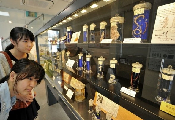 Muzeum pasożytów - Tokio