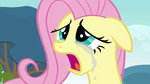 Fluttershy