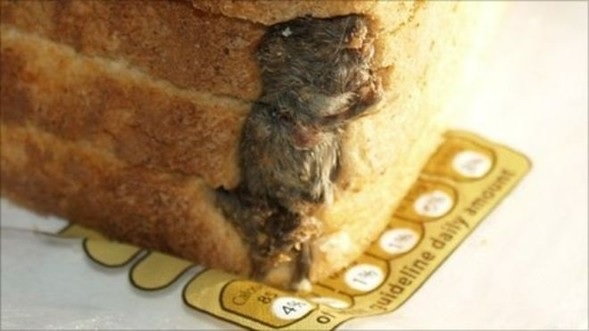 Mysz w chlebie