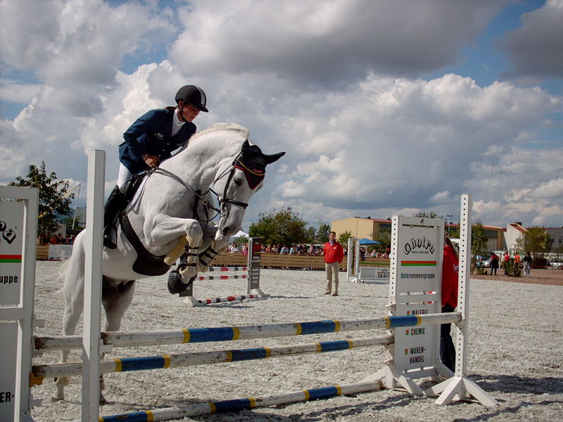 800px-Showjumping_white_horse.jpg