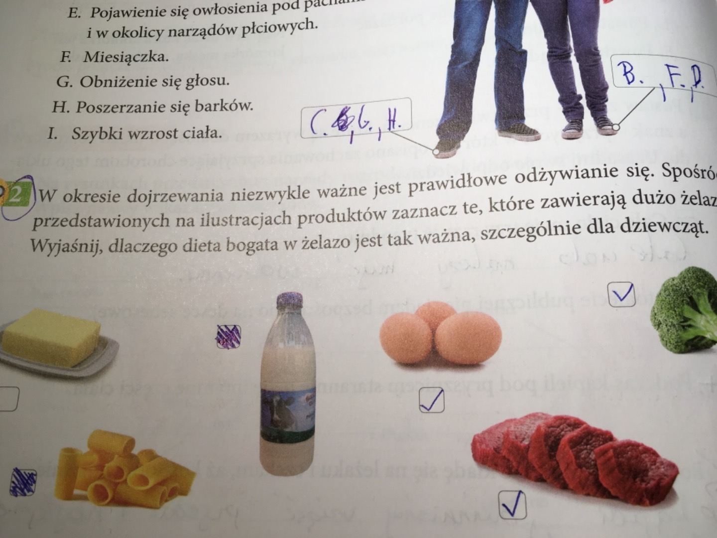 Dlaczego dieta bogata w żelazo jest ważna dla dziewcząt? – zadania, ściągi  i testy – Zapytaj.onet.pl