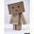 ♫Danbo♫