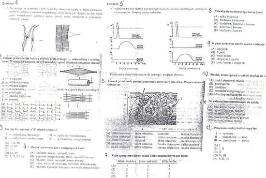 Test z biologi Liceum kl. 1 – zadania, ściągi i testy – Zapytaj.onet.pl