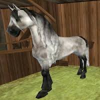 Star Stable,pomoc,kody itp.