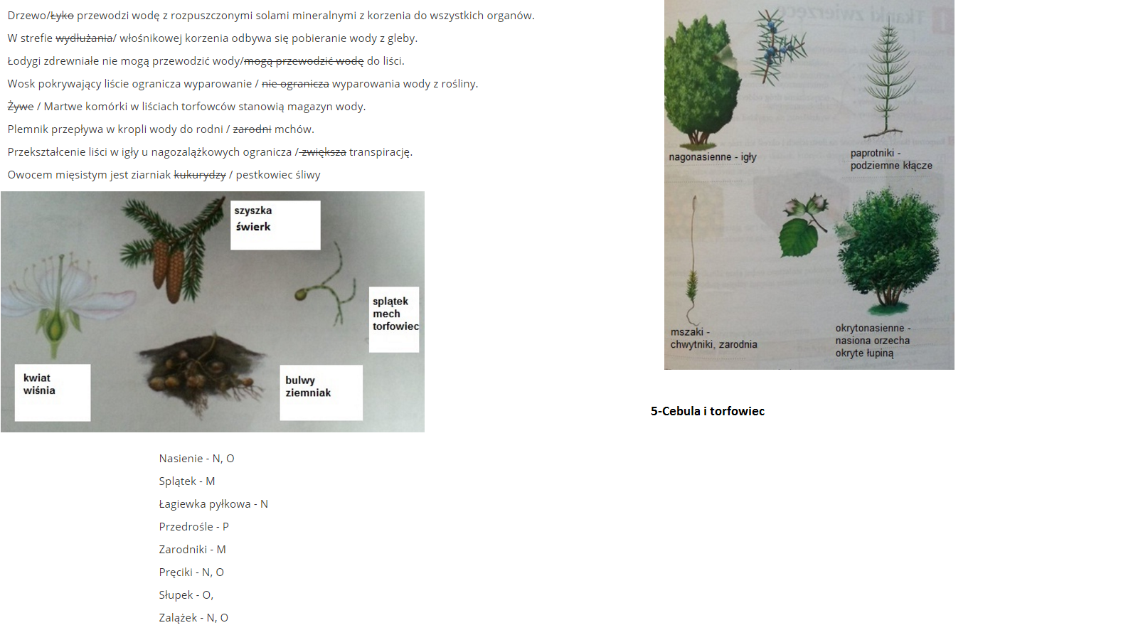 Biologia 1 gim ,,Puls życia'' str.54-55 – zadania, ściągi i testy