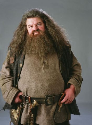 Rubeus Hagrid- strażnik kluczy, gajowy w Hogwarcie