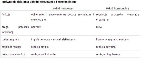 Uklad Nerwowy I Hormonalny Test