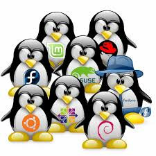 Dystrybucje linuxowe