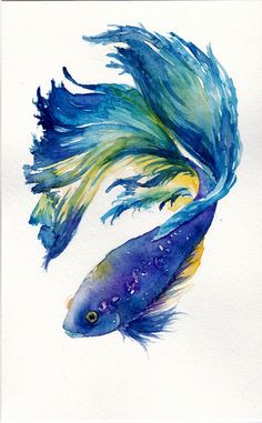 Niebieska ryba