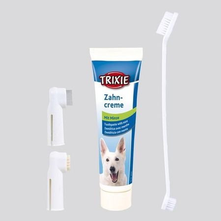 Czy można myć psu zęby pastą dla ludzi