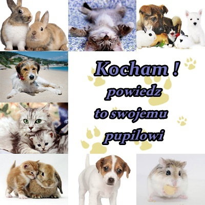 Kocham ! - powiedz to swojemu pupilowi.