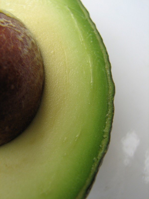 avocado-8.jpg