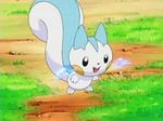 Pachirisu