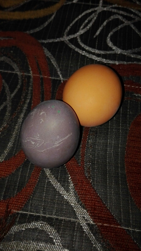 jajka malowane
