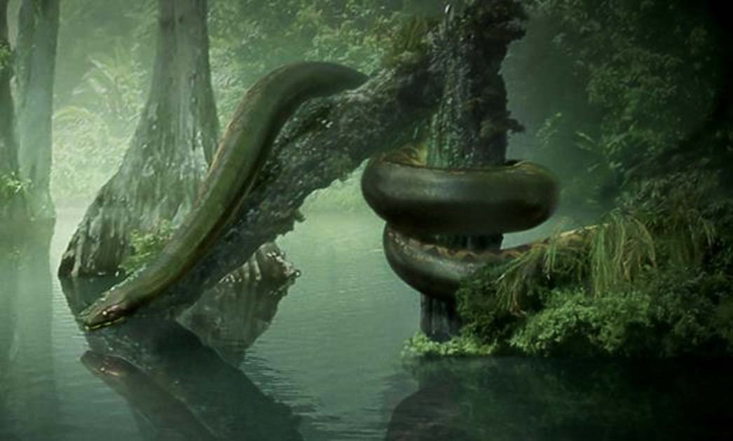 Titanoboa