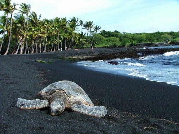 Czarna plaża - Hawaje