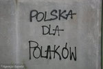 Polska dla Polaków !