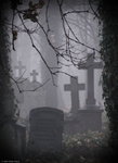stary mroczny cmentarz