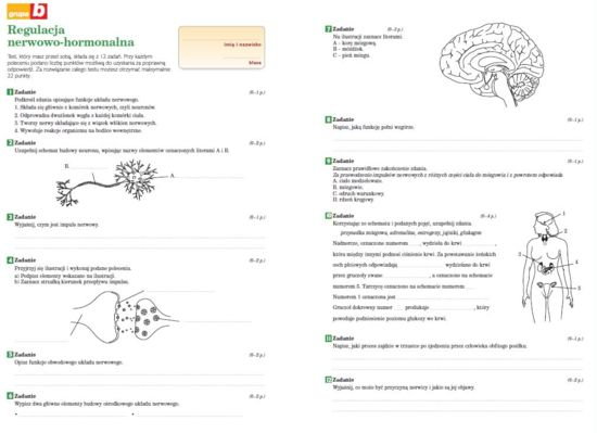 Sprawdzian z biologii regulacja nerwowo hormonalna