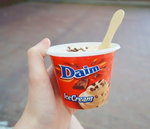 Daim Ice Cream