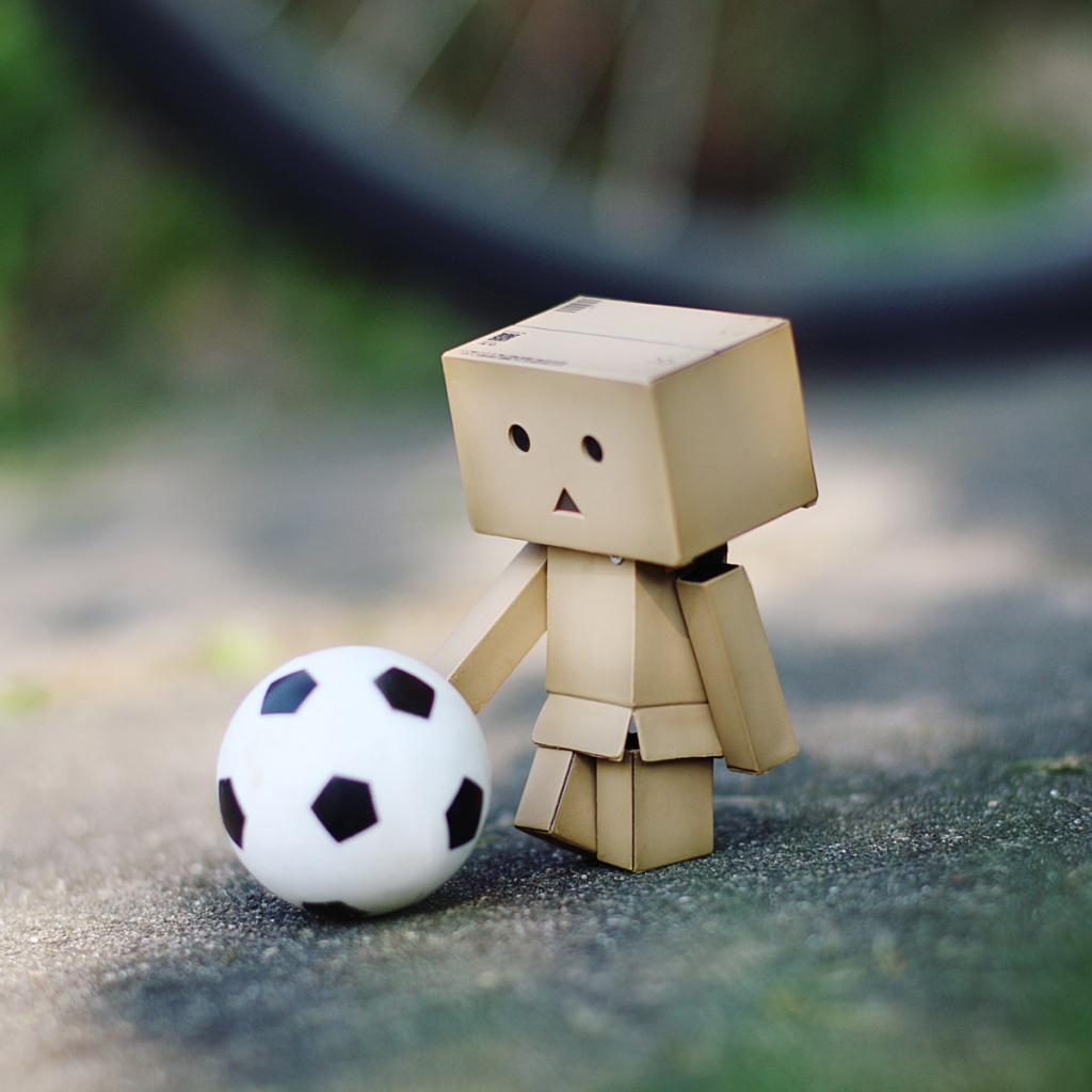 danbo-football.jpg