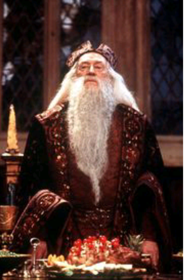 Albus Dumbledor od 1 części do 2 części