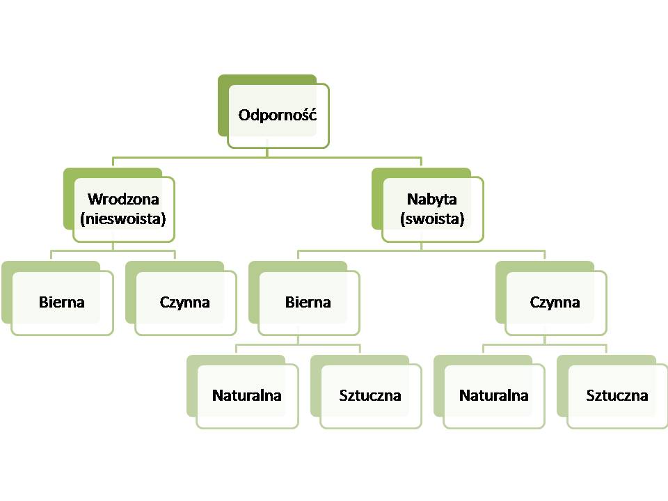 Rodzaje%2Bodporno%25C5%259Bci.jpg