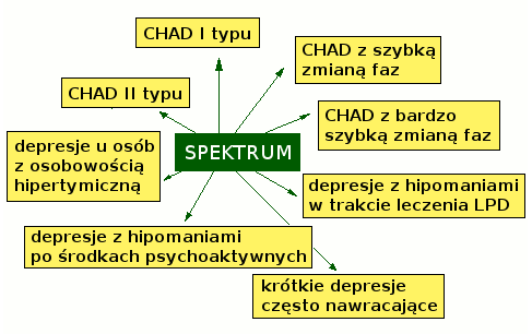 spektrum-2.gif