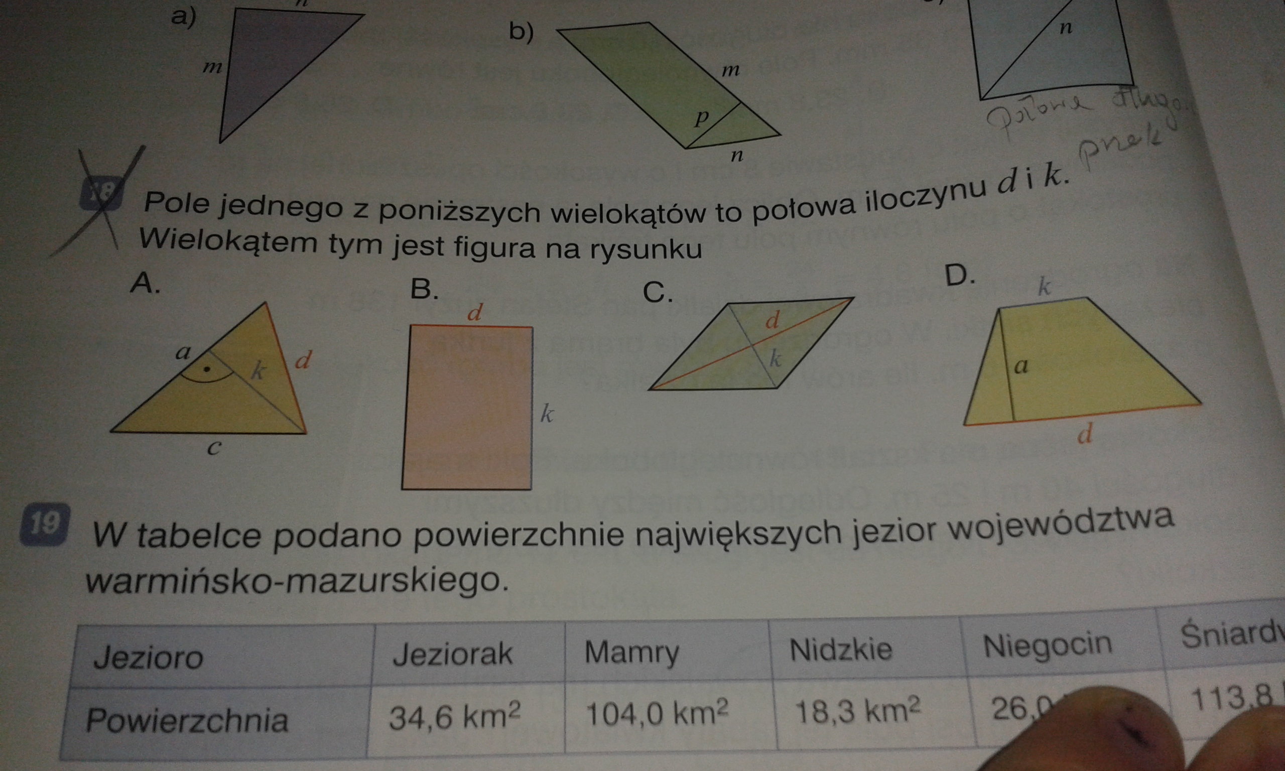 Zapisz Na Rysunku Wymiary Wielokątów Z Których Zbudowana Jest Siatka Pole jednego z poniższych wielokątów to połowa iloczynu d i k