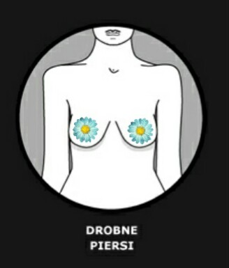 Drobne