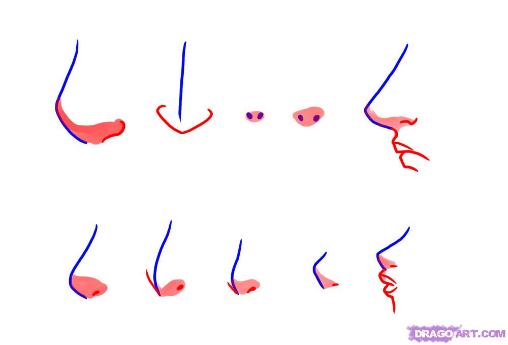 how-to-draw-manga-noses-step-2.jpg