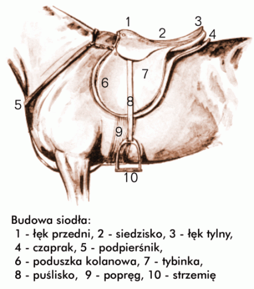 siodlo.gif