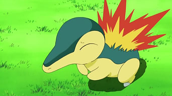 Cyndaquil