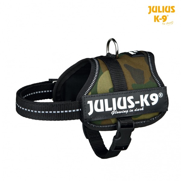 Julius-k9