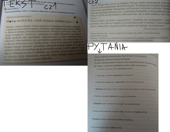 Przeczytaj poniższy tekst, a następnie odpowiedz na pytania
