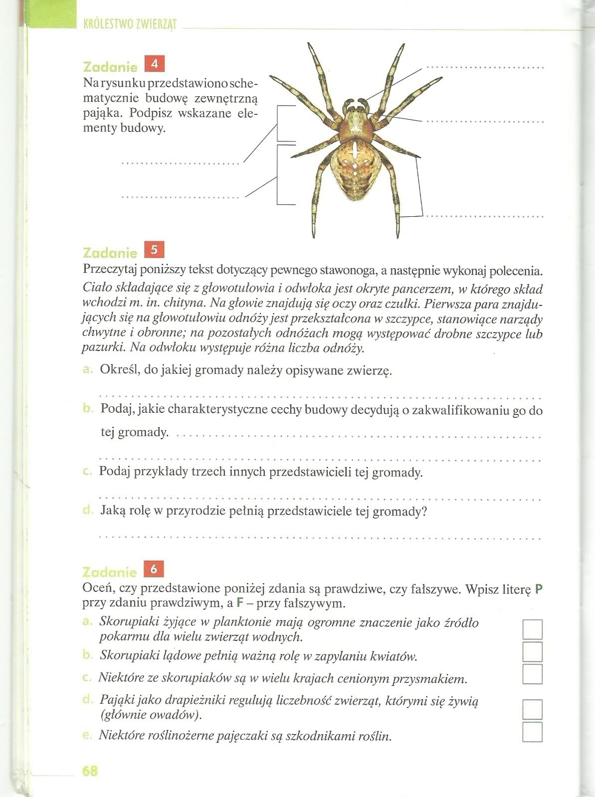 Sprawdzian Klasa 6 Biologia Dział 1 Sprawdzian Biologia Stawonogi I Mięczaki - Margaret Wiegel