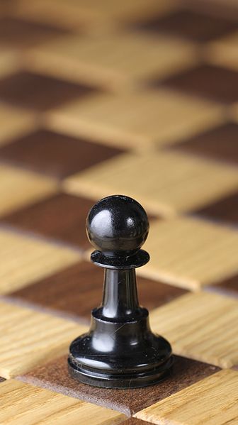 336px-Chess_piece_-_Black_pawn.JPG