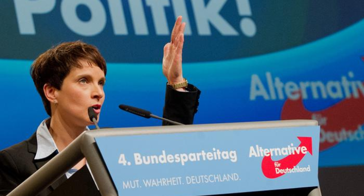 AfD – Alternatywa dla Niemiec, konserwatyzm, eurosceptyzm