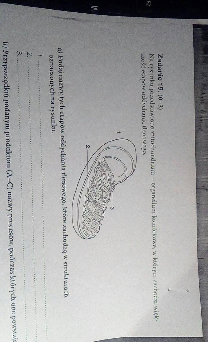 Na Ilustracji Zaznacz Literami Elementy Budowy Oka Odpowiedzialne Za Na rysunku przedstawiono mitochondrium- organellum komórkowe, w którym