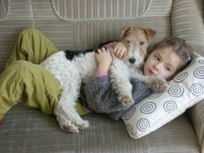 Foxterrier_als_Familienhund.jpg