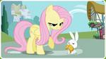 Fluttershy