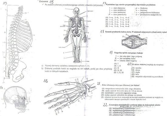 Test z biologi Liceum kl. 1 – zadania, ściągi i testy – Zapytaj.onet.pl
