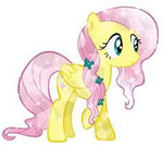 fluttershy