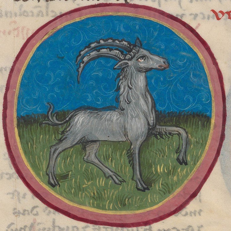 zodiac-sign-of-capricorn-in-a-15th-century-manuscript-2.jpg