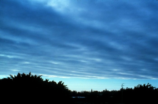 stratus_NOAA_wea02047.jpg