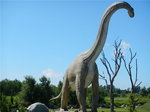 Brachiozaur