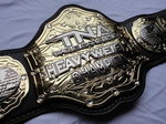 TNA Heavyweight Championship Belt