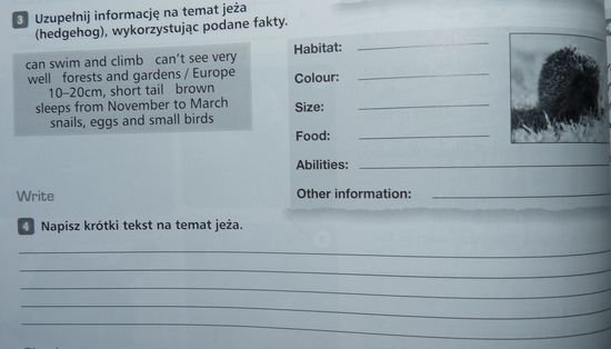 Język angielski - opis jeża klasa 1 gimnazjum – zadania, ściągi i testy